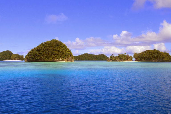 Bên dưới đại dương xanh thẳm là cả một thiên đường đầy màu sắc, và hệ sinh vật biển phong phú, đa dạng