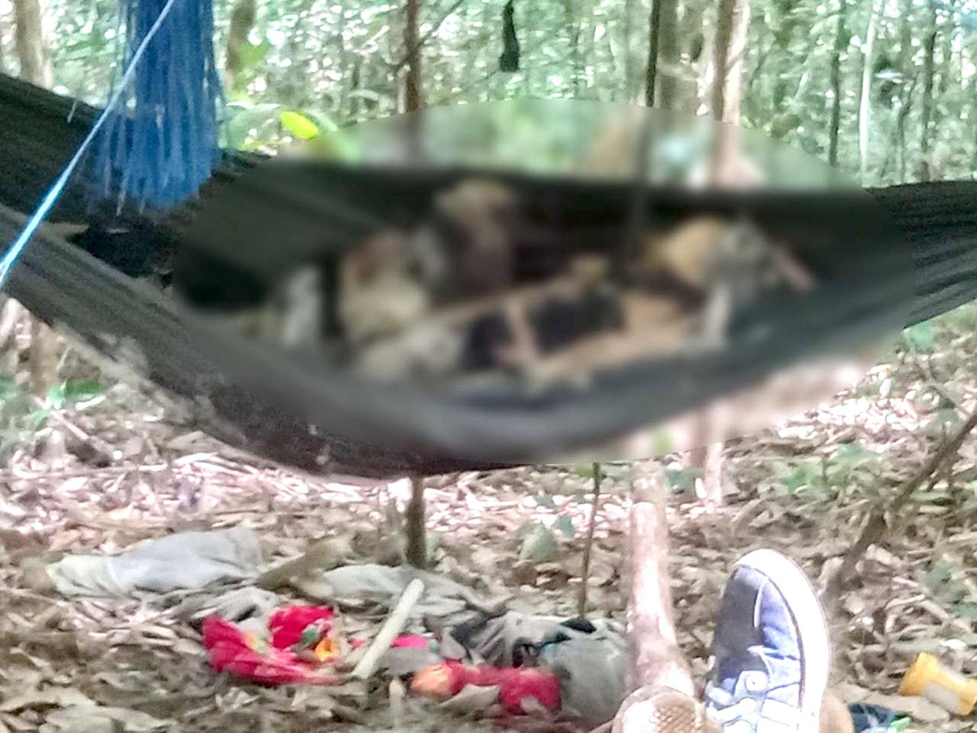 Một chiếc võng và nạn nhân tại hiện trường