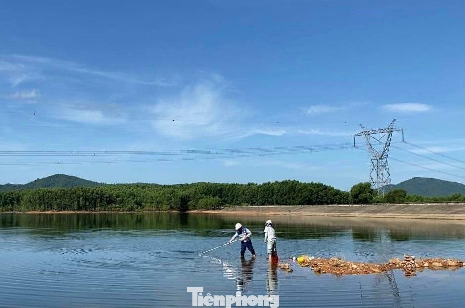 Sáng nay (23/8), lực lượng chức năng đến thu gom số cá chết và lấy mẫu nước tìm nguyên nhân. Sáng nay (23/8), lực lượng chức năng đến thu gom số cá chết và lấy mẫu nước tìm nguyên nhân.