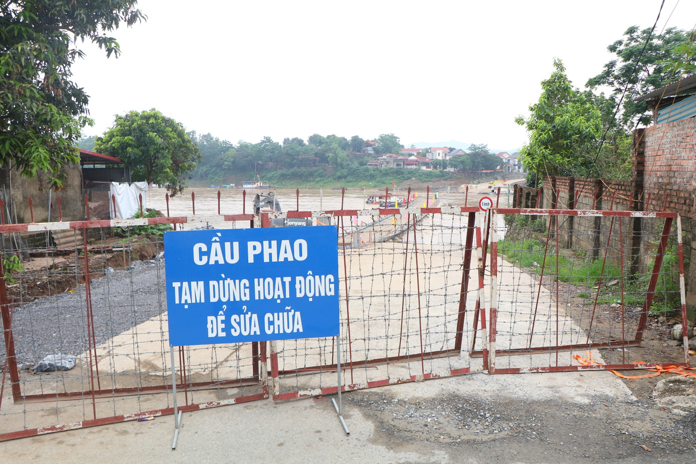 Nước sông chảy xiết, trong vài ngày tới, cầu phao Phong Châu chưa thể hoạt động trở lại.