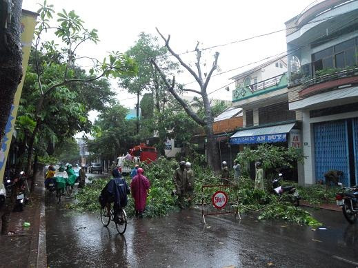 Nhiều cây xanh bị đổ.