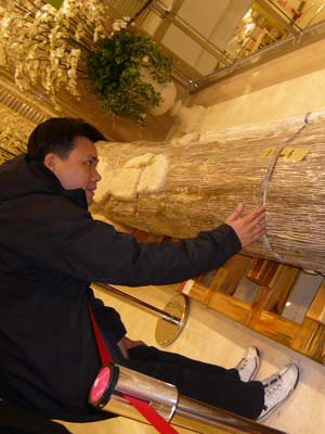 Gỗ hóa thạch được bày bán tại Eda World. Gỗ hóa thạch được bày bán tại Eda World