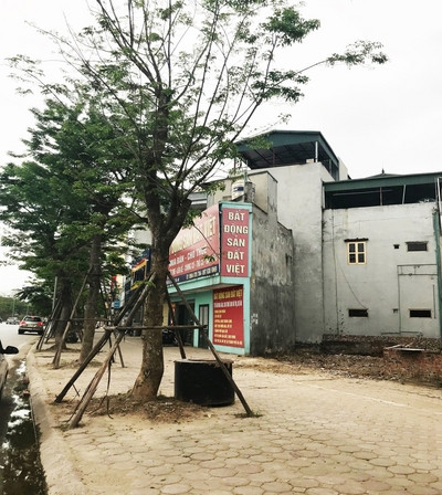 Nhan nhản nhà 'siêu mỏng, siêu méo' trên đường nghìn tỷ ảnh 2