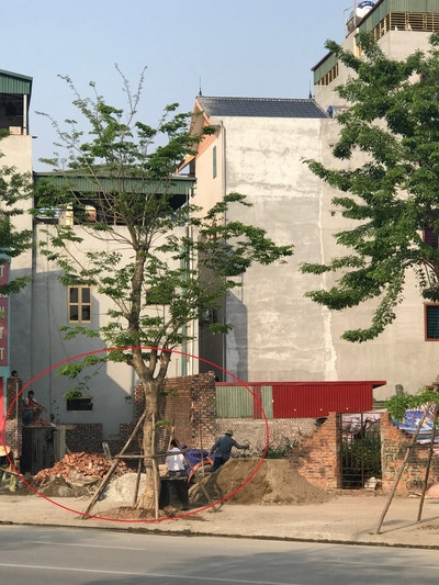 Nhan nhản nhà 'siêu mỏng, siêu méo' trên đường nghìn tỷ ảnh 3