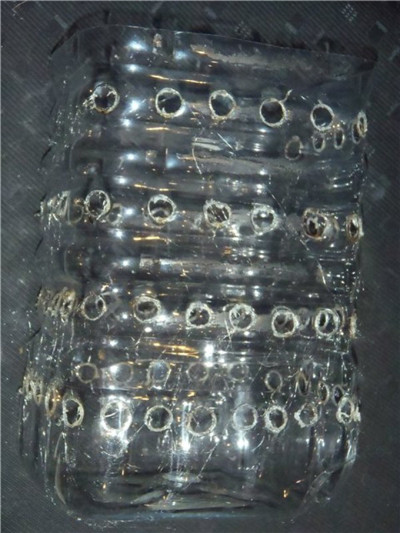 Bất ngờ với tác dụng tuyệt vời của hành lá - Ảnh 4.