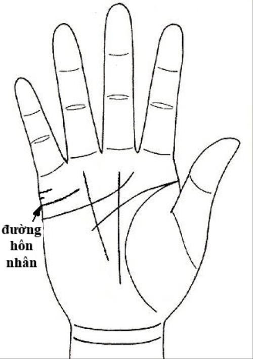 Nếu chỉ có 1 đường hôn nhân dài và sâu, nhất định người đó rất chung thủy.