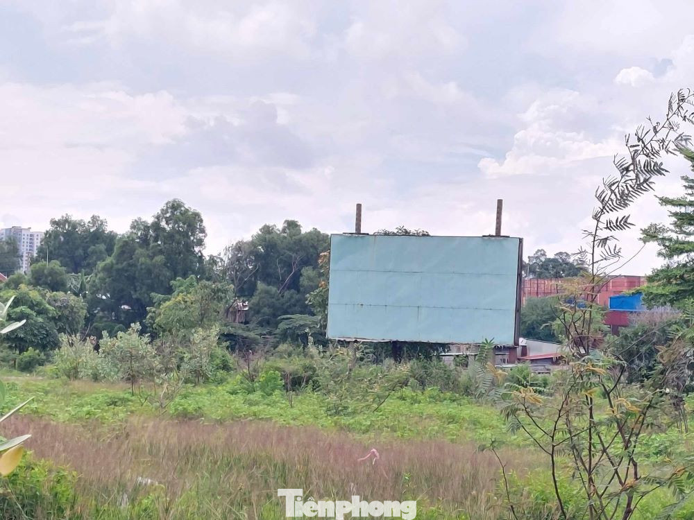 Theo lãnh đạo thành phố Thuận An, dự án khu dân cư Đông Trung chỉ được triển khai tiếp tục sau khi đáp ứng các yêu cầu pháp lý mà cơ quan chức năng yêu cầu.