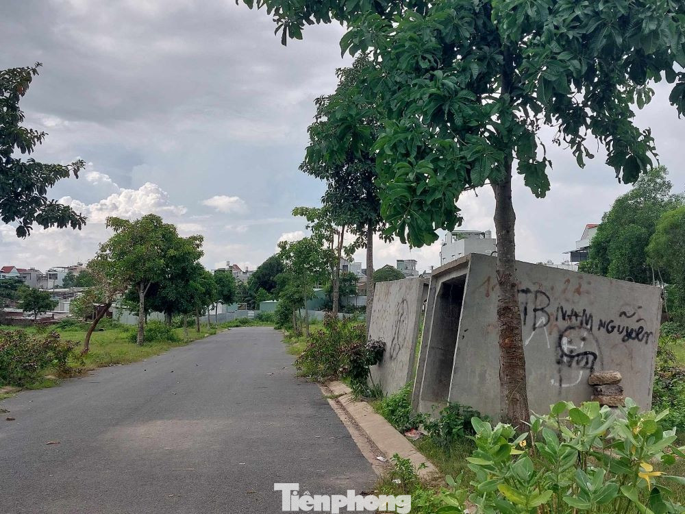 Cơ quan chức năng sau khi kiểm tra, phát hiện nhiều vi phạm như: Dự án chưa hoàn thành đền bù giải phóng mặt bằng; chuyển nhượng nền khi chưa đủ điều kiện và xây dựng khi chưa được cấp phép… Dự án bị đình chỉ và "đắp chiếu” từ năm 2016 đến nay. Ngoài ra, vào thời điểm san lấp mặt bằng, dự án này xảy ra tranh chấp đất giữa chủ đầu tư và một số hộ dân.