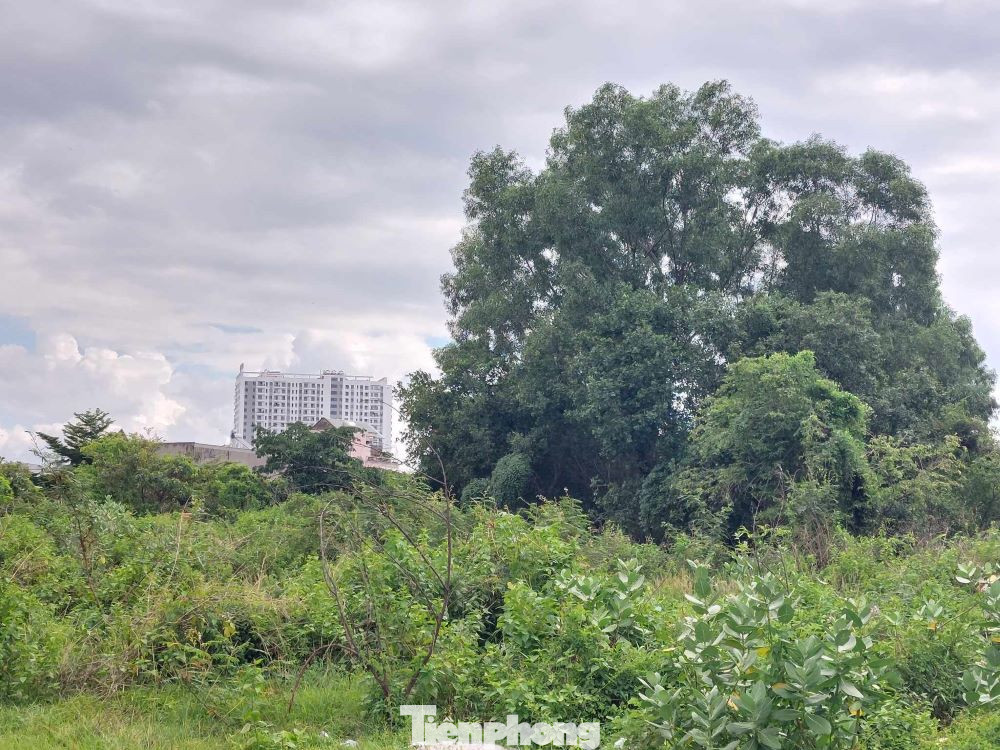 Về lý do dự án "đắp chiếu”, Chủ tịch UBND thành phố Thuận An Nguyễn Thanh Tâm cho biết do vướng các thủ tục pháp lý, xảy ra một số vi phạm trong xây dựng, chuyển nhượng đất…