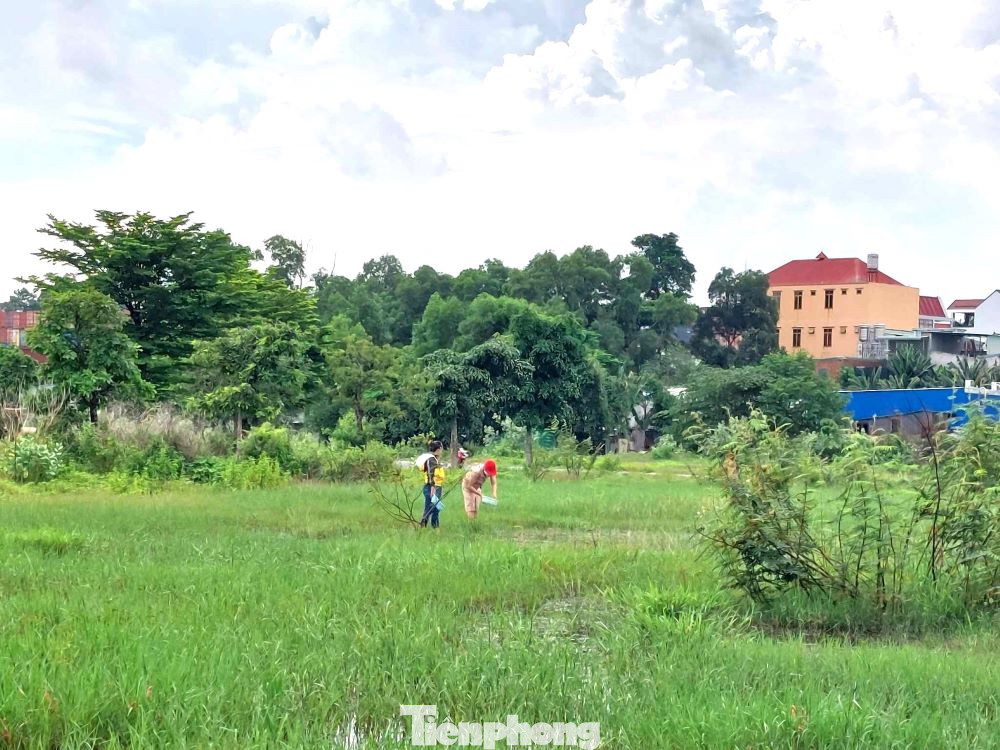 Tương tự, ông T.V.S (ngụ Bình Dương) cho hay, do có nhu cầu về nhà ở nên vào năm 2016, ông đã mua lô đất 100m2 với giá trị hơn 1 tỷ đồng. “Theo hợp đồng thỏa thuận, tôi thanh toán tiền cho Công ty Đất Nguồn, chia thành 6 đợt. Mới thanh toán hết đợt 3 thì dự án bị cơ quan chức năng kiểm tra, sau đó dự án dừng triển khai. Tôi đã liên hệ nhiều lần để đòi lại tiền nhưng đến nay vẫn chưa có kết quả”, ông S nói.