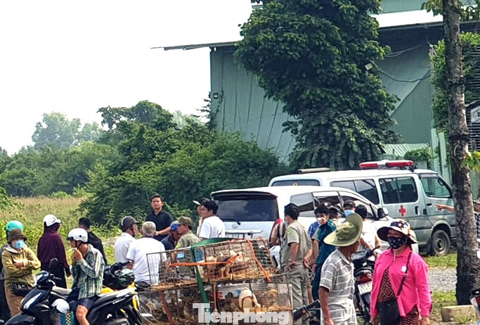 Hiện trường vụ việc