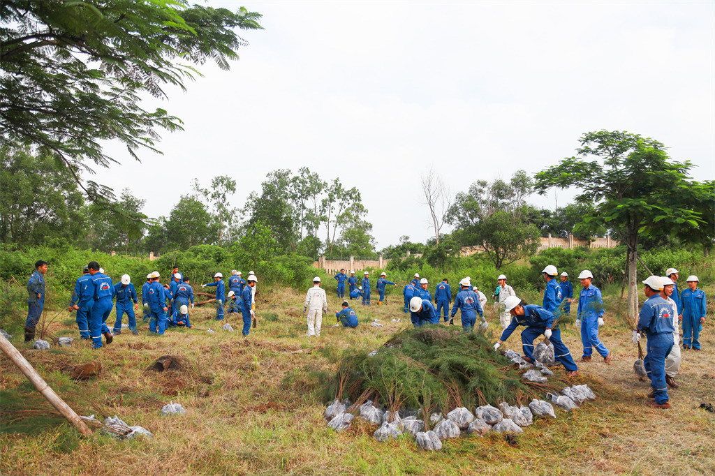 2.500 cây Dương Liễu được Ban BDSC và Văn phòng BSR lựa chọn để trồng. 2.500 cây Dương Liễu được Ban BDSC và Văn phòng BSR lựa chọn để trồng.