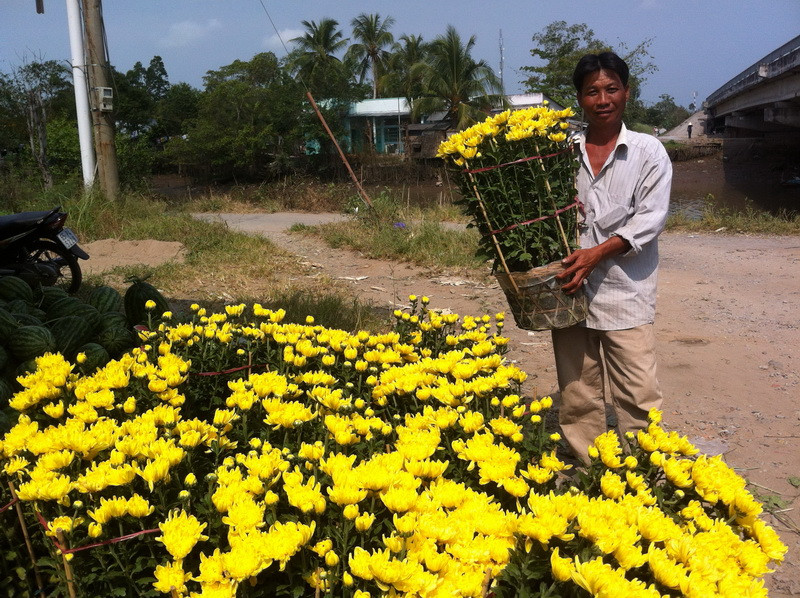 Ông Nguyễn Văn Hứa “mới bán được 400 giỏ trong 2.000 giỏ”