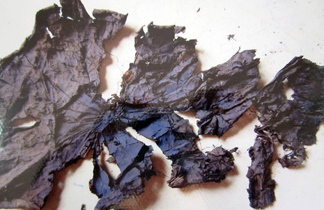 Chiếc lá sen được dùng phủ trên xác - Ảnh chụp lại từ tư liệu của PGS.TS. Phạm Đức Mạnh