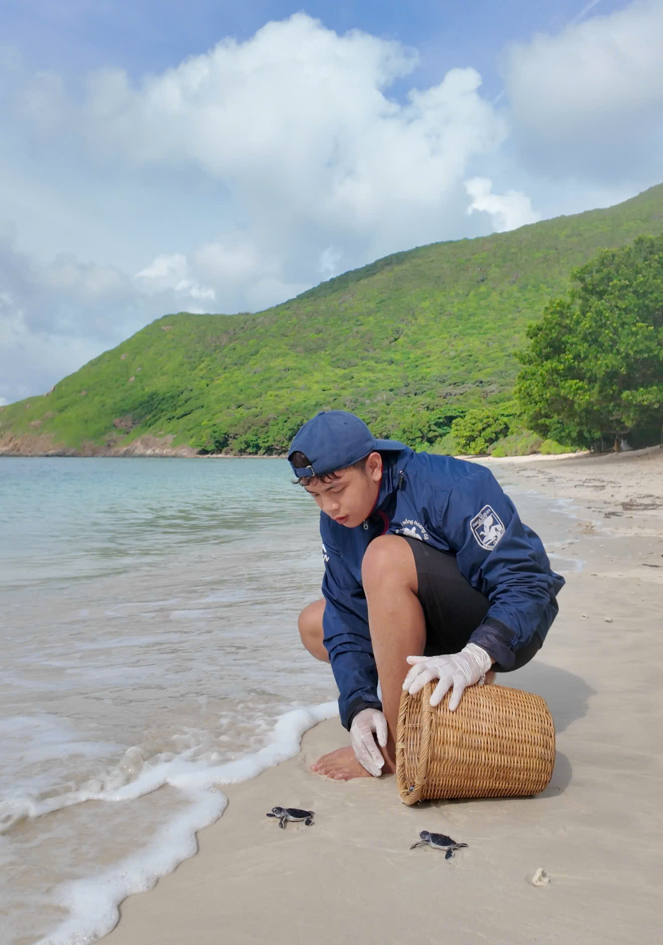 Hằng đêm, từ 19h đến 3h sáng, rùa mẹ sẽ bò lên bãi cát đẻ trứng. Công việc của các tình nguyện viên là theo dõi, hỗ trợ chuyên viên lấy trứng trực tiếp đưa vào hồ ấp tại trạm Bảy Cạnh.