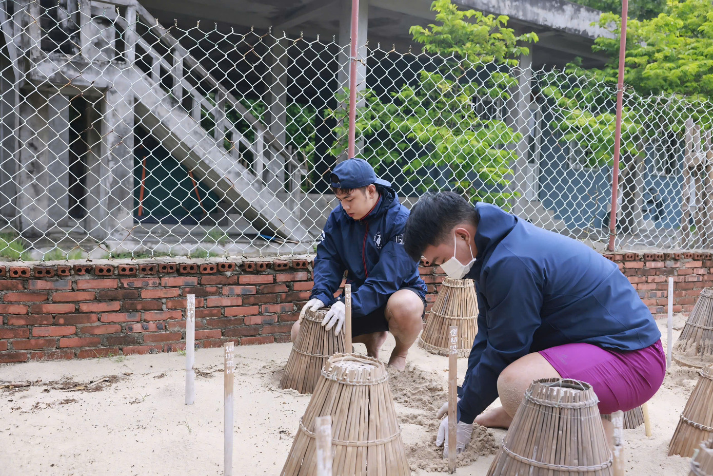 Tình nguyện viên phải biết bơi, đảm bảo sức khỏe có chứng nhận y tế, có kinh nghiệm hoạt động vì môi trường, kỹ năng làm việc nhóm tốt, làm bài test kiến thức về rùa biển.