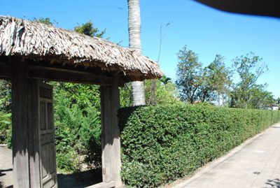 Cổng vào đơn sơ và dốc dừa có từ thuở ấu thơ Bác Giáp 