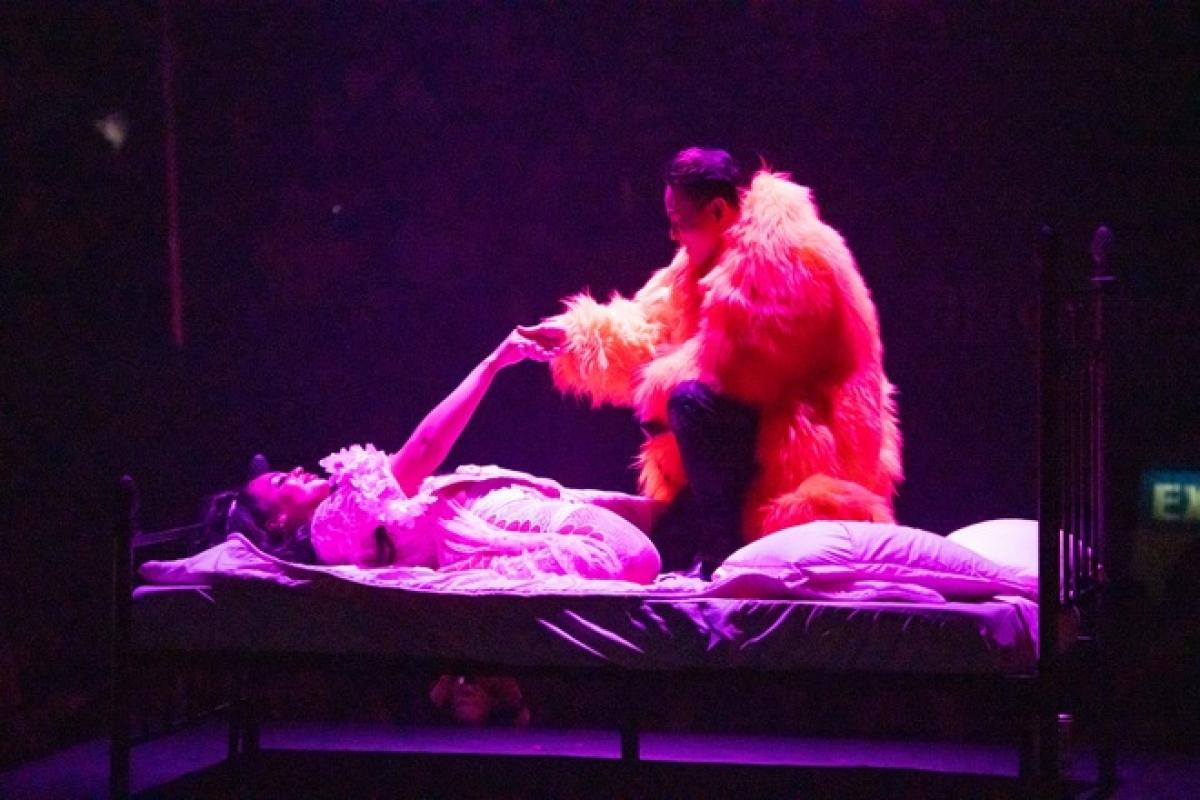 Cảnh biểu diễn của BinZ và vũ công. Cảnh biểu diễn của BinZ và vũ công.