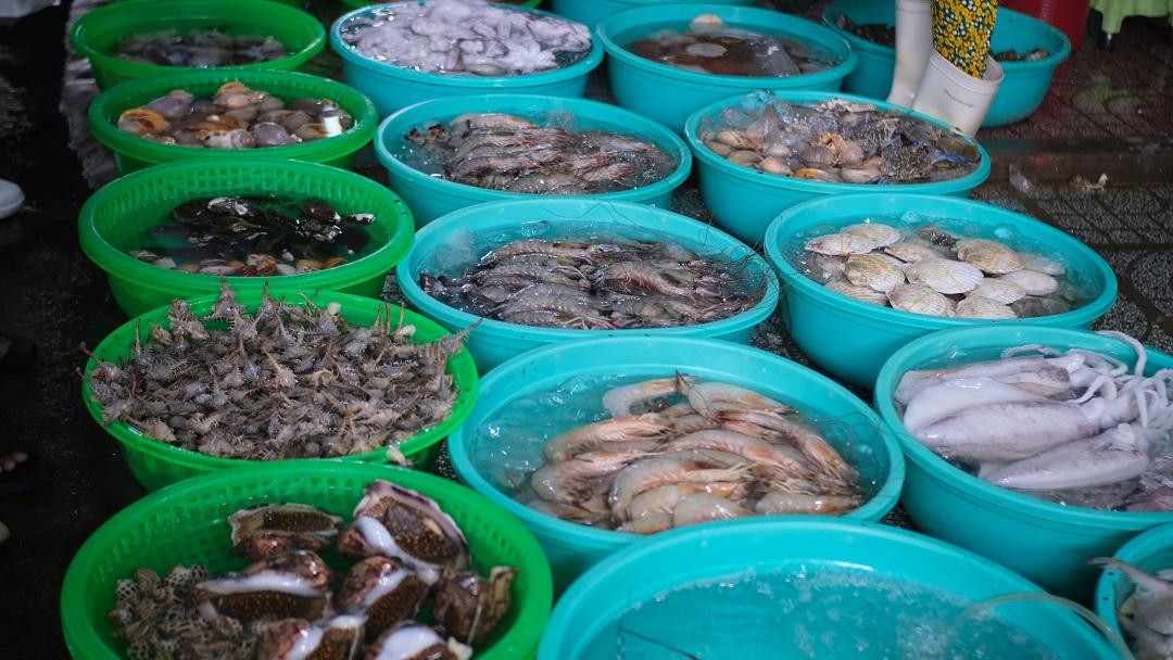 Những dãy dài thau, chậu bằng nhựa chứa đầy ắp những là cá, tôm, cua, ghẹ, ốc biển đủ loại…