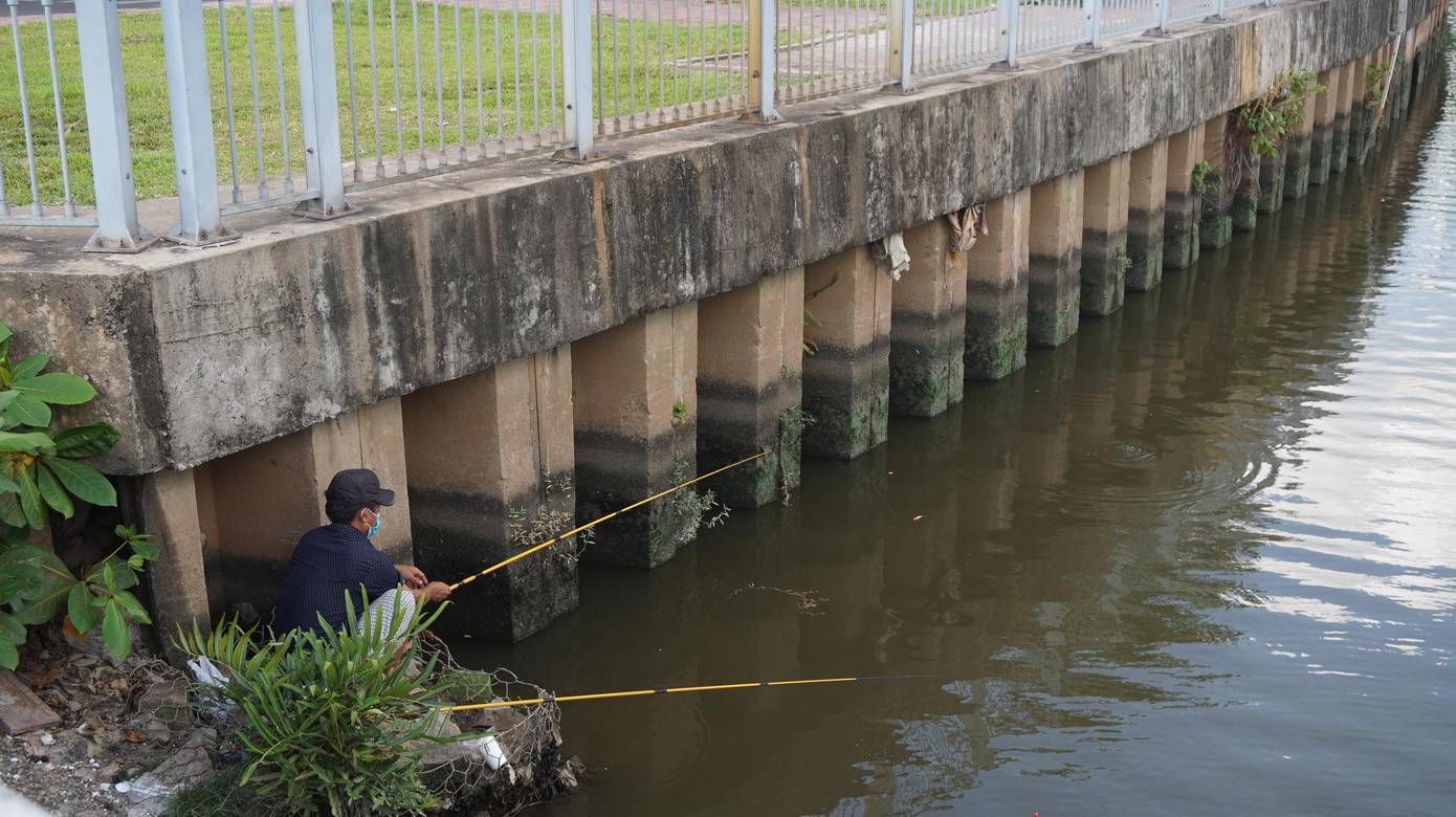 Được biết, nhiều năm qua, TP.HCM đã có nhiều văn bản chỉ đạo cấm đánh bắt cá, câu cá trên kênh rạch. Thế nhưng, nhiều người vẫn vô tư câu cá bất chấp sự nguy hiểm.