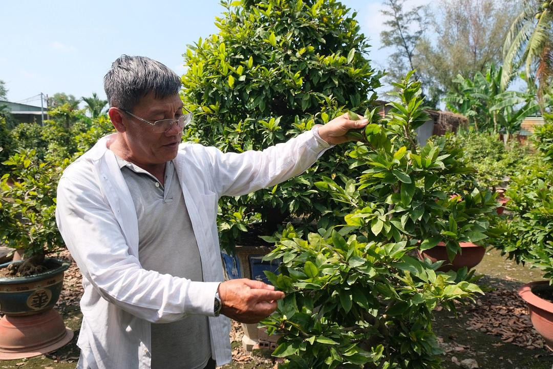 Lo ngại ảnh hưởng của dịch bệnh khiến nhiều nhà vườn vừa bán vừa mong mọi việc suôn sẻ. Lo ngại ảnh hưởng của dịch bệnh khiến nhiều nhà vườn vừa bán vừa mong mọi việc suôn sẻ.