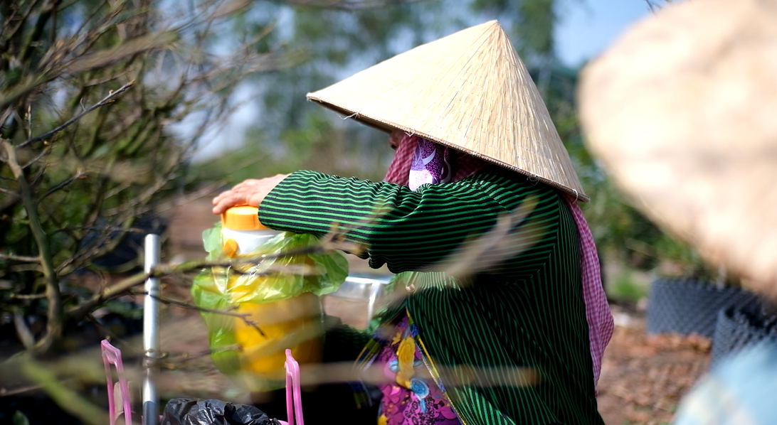 Do làm cả ngày tại vườn nên người lặt lá mai đều mang theo cơm hộp, nước uống. Do làm cả ngày tại vườn nên người lặt lá mai đều mang theo cơm hộp, nước uống.