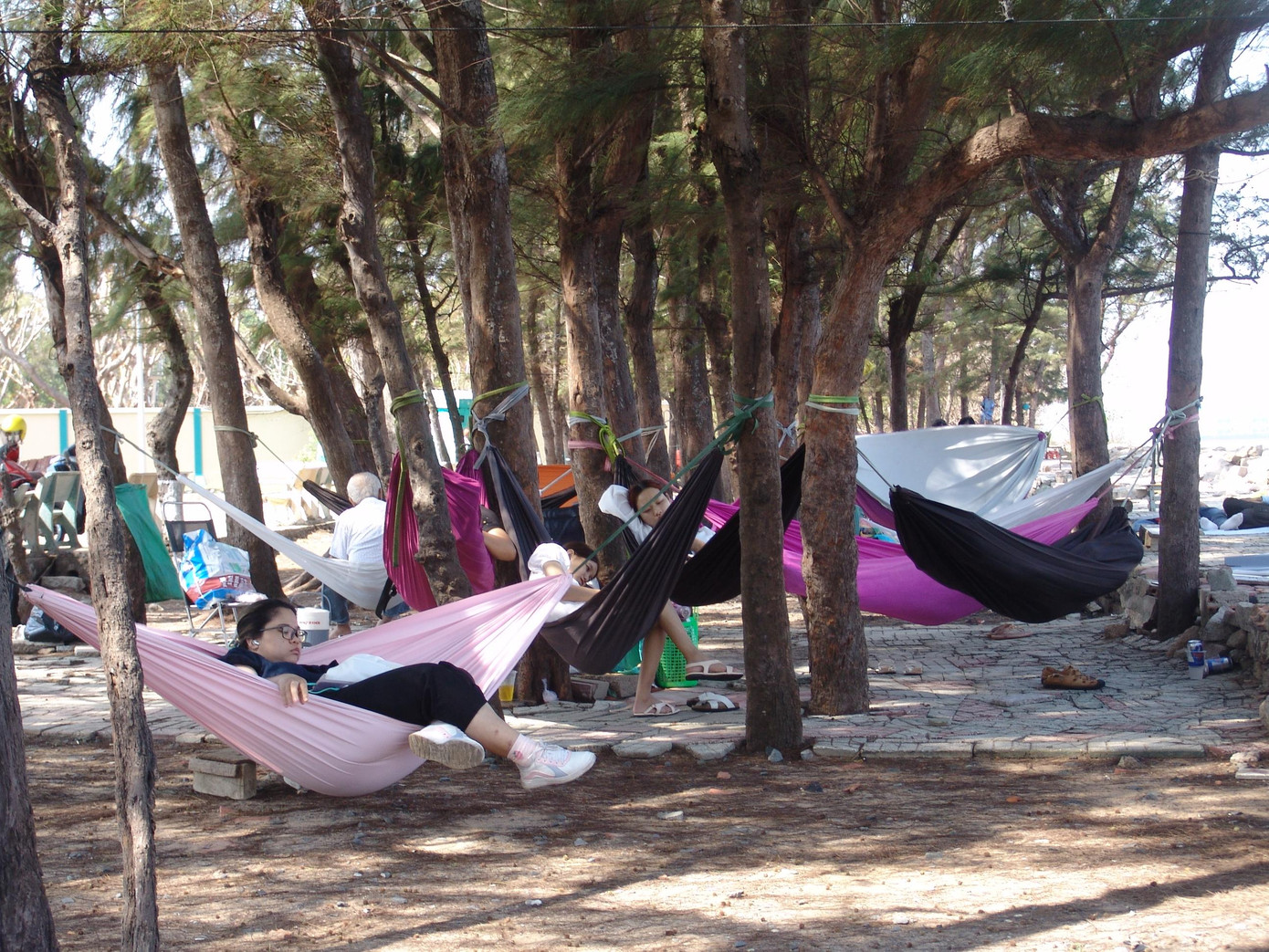 Chỉ cách trung tâm TP.HCM khoảng 50 km, huyện Cần Giờ trở thành địa điểm lý tưởng cho du khách vào cuối tuần, ngày lễ,...