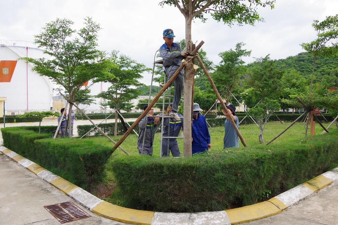 Cán bộ, chiến sĩ chằng chống cây.