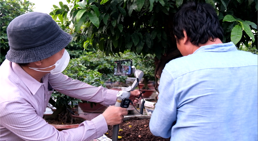 Năm nay, nhiều vườn mai tại TP.HCM đẩy mạnh bán hàng qua các kênh online để thu hút khách hàng. Năm nay, nhiều vườn mai tại TP.HCM đẩy mạnh bán hàng qua các kênh online để thu hút khách hàng.