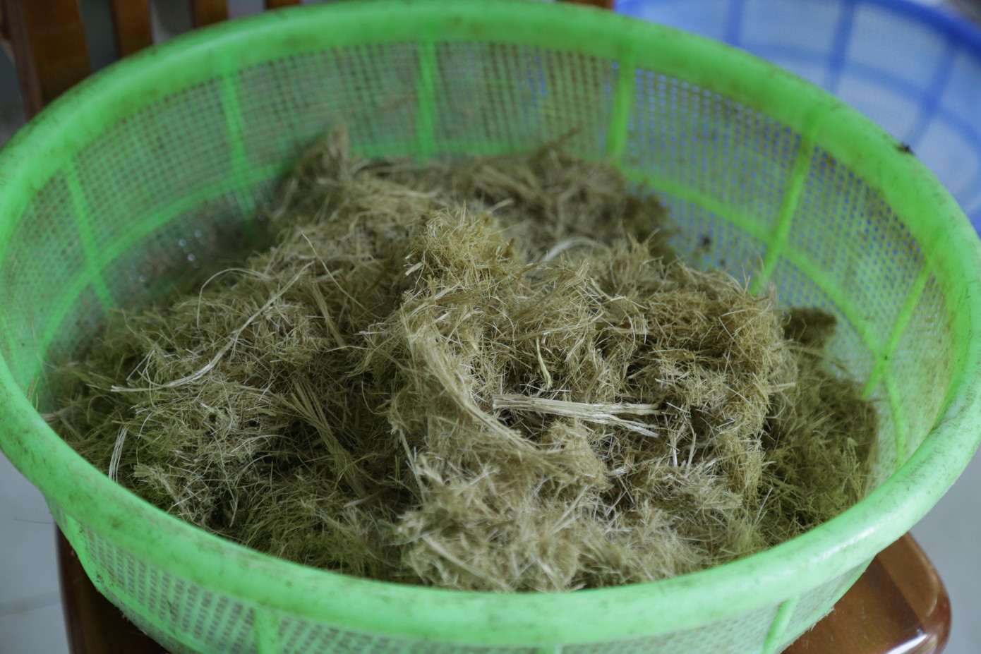 Trong khi đó, voi là động vật thường ăn ăn mía, rau củ, cỏ và không tiêu hoá hoàn toàn nên phân nhiều chất xơ, không nặng mùi. Do đó, tỷ lệ chất xơ trong phân voi đảm bảo nghiền thành bột, có thể tận dụng làm giấy được. Một số nước đã làm ra giấy thành phẩm có chất lượng tốt. Trong khi đó, voi là động vật thường ăn ăn mía, rau củ, cỏ và không tiêu hoá hoàn toàn nên phân nhiều chất xơ, không nặng mùi. Do đó, tỷ lệ chất xơ trong phân voi đảm bảo nghiền thành bột, có thể tận dụng làm giấy được. Một số nước đã làm ra giấy thành phẩm có chất lượng tốt.