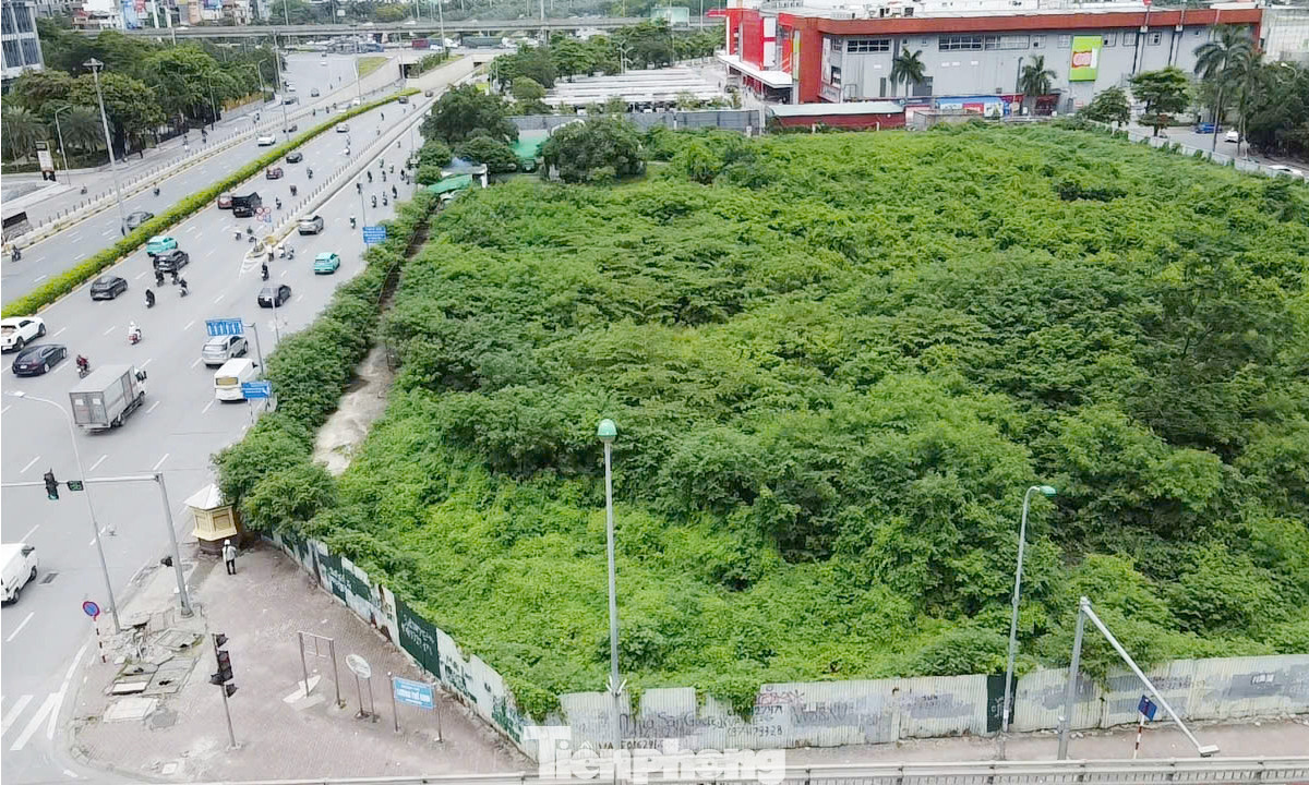 Năm 2013, dự án này được Sở Xây dựng Hà Nội cấp giấy phép quy hoạch. Theo đó, công trình được cấp phép cao 34 tầng và chiều cao tối đa 150m. Dự án có tổng vốn đầu tư khoảng 3.800 tỷ đồng. Năm 2013, dự án này được Sở Xây dựng Hà Nội cấp giấy phép quy hoạch. Theo đó, công trình được cấp phép cao 34 tầng và chiều cao tối đa 150m. Dự án có tổng vốn đầu tư khoảng 3.800 tỷ đồng.