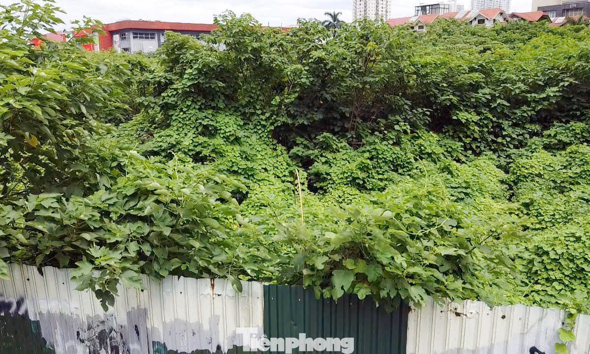 "Không hiểu vì lý do gì mà khu đất này quây tôn bỏ hoang suốt nhiều năm qua không thấy chủ đầu tư triển khai xây dựng. Với vị trí nằm ở trung tâm Thủ đô mà khu đất bỏ hoang rất lãng phí, nếu chủ đầu tư không triển khai thì thành phố cần thu hồi dự án để phục vụ cho mục đích công cộng", ông Nguyễn Sơn - người dân sống gần dự án kiến nghị. "Không hiểu vì lý do gì mà khu đất này quây tôn bỏ hoang suốt nhiều năm qua không thấy chủ đầu tư triển khai xây dựng. Với vị trí nằm ở trung tâm Thủ đô mà khu đất bỏ hoang rất lãng phí, nếu chủ đầu tư không triển khai thì thành phố cần thu hồi dự án để phục vụ cho mục đích công cộng", ông Nguyễn Sơn - người dân sống gần dự án kiến nghị.