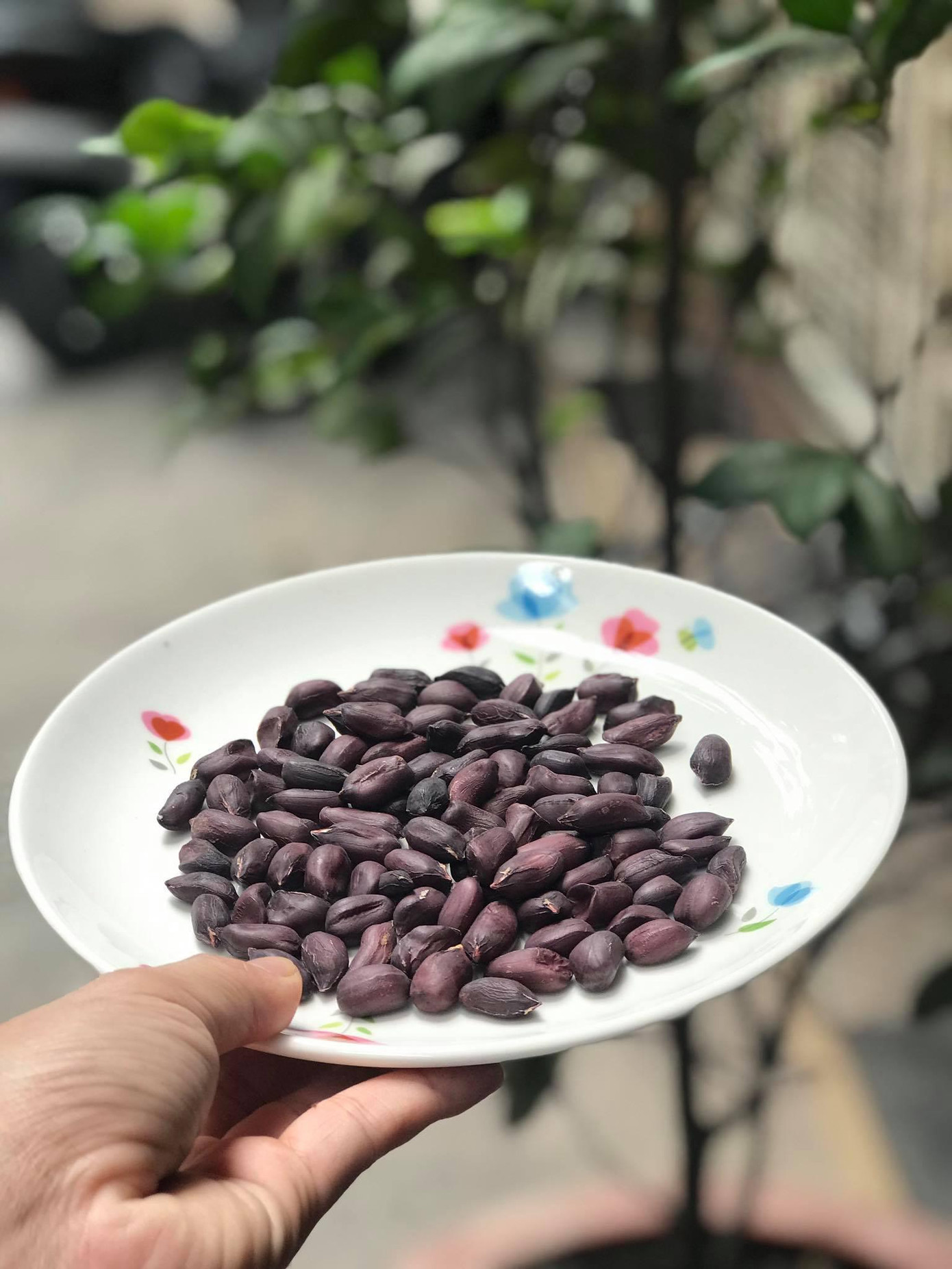 Lạc đen có giá cao gấp 3 lần lạc trắng (Ảnh: Vũ Huyền) Lạc đen có giá cao gấp 3 lần lạc trắng (Ảnh: Vũ Huyền)