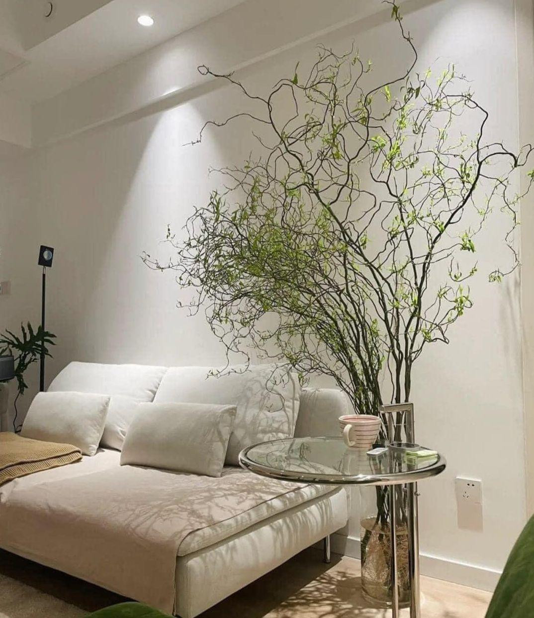 Cành lá uốn lượn, mềm mại, rất dễ cắm, tạo cho không gian căn nhà trở nên tươi mới hơn (Ảnh: V.H) Cành lá uốn lượn, mềm mại, rất dễ cắm, tạo cho không gian căn nhà trở nên tươi mới hơn (Ảnh: V.H)