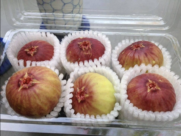 Sung Mỹ có giá dao động 250.000 - 290.000 đồng/kg (ảnh: Dân trí). Sung Mỹ có giá dao động 250.000 - 290.000 đồng/kg (ảnh: Dân trí).