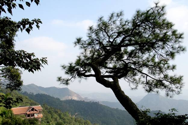 và “làm dáng” nơi cõi Phật