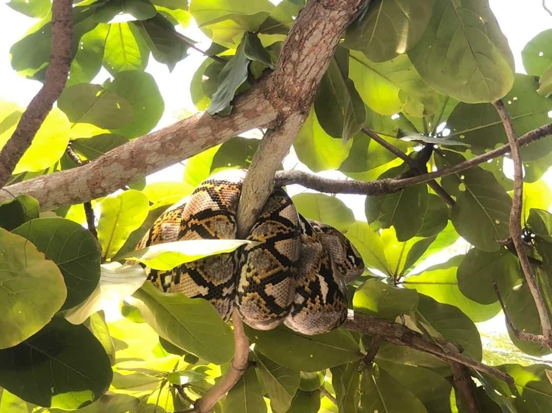 Ảnh: Thùy Hương. Ảnh: Thùy Hương.