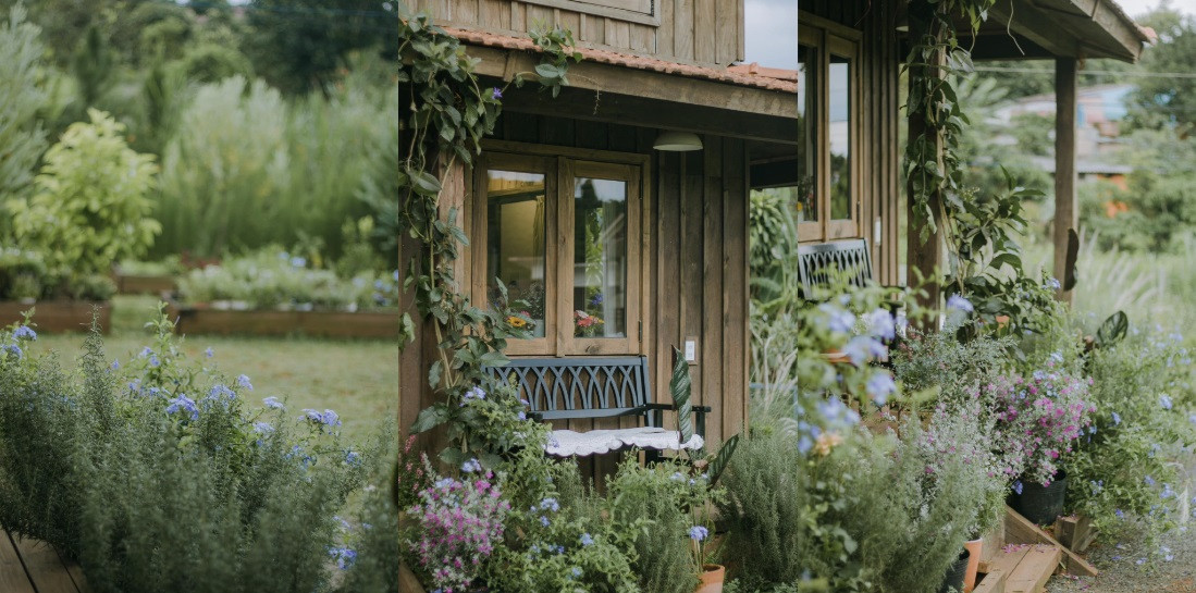 Quanh ngôi nhà là những chậu gỗ trồng hương thảo, cây dây leo... cùng bãi cỏ xanh Quanh ngôi nhà là những chậu gỗ trồng hương thảo, cây dây leo... cùng bãi cỏ xanh