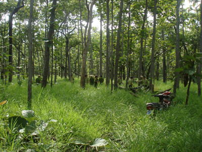 Công an huyện Buôn Đôn khám nghiệm hiện trường vụ lâm tặc trúng đạn của kiểm lâm. Công an huyện Buôn Đôn khám nghiệm hiện trường vụ lâm tặc trúng đạn của kiểm lâm