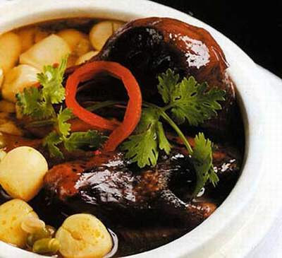  Bồ câu hầm hạt sen