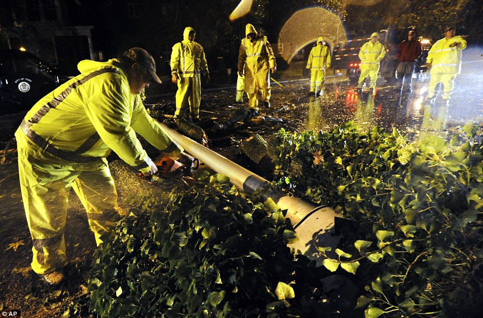 Gió mạnh kèm mưa to khiến nhiều cây cối tại Pennsylvania đổ nhiều