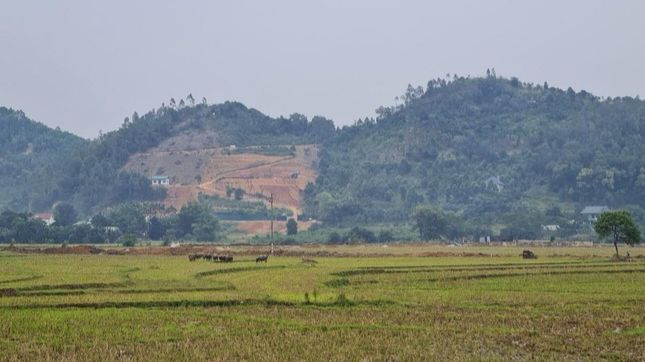 Khu đất nông nghiệp thuộc dự án Khu đô thị Tiến Xuân Sudico bị "treo" 16 năm nay.