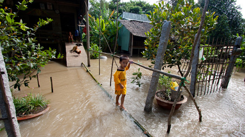 Em Võ Hoàng Nam, 5 tuổi đi bộ trên cây cầu khỉ để về nhà. Ảnh chụp tại ấp Tham Bua, xã Tân Thành A. Ảnh: Tiến Thành - Tuổi Trẻ