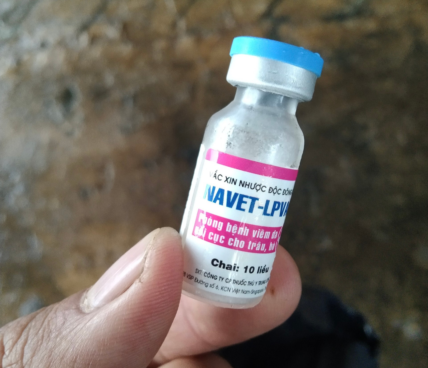 Tỉnh Lâm Đồng kiến nghị lấy mẫu kiểm tra, đánh giá tác dụng phụ của vắc xin