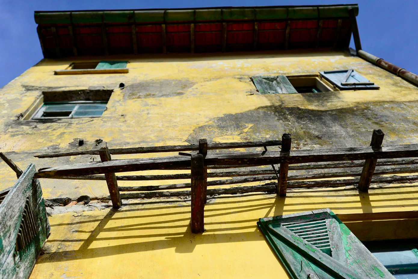 Nhiều mảng tường của các ngôi biệt thự bị mốc, phủ rêu