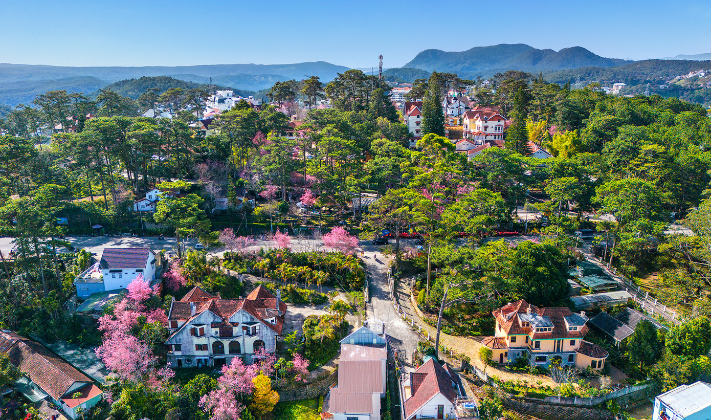 Sắc xuân phố núi Đà Lạt qua lăng kính của nhiếp ảnh gia Nguyễn Tất Thắng.