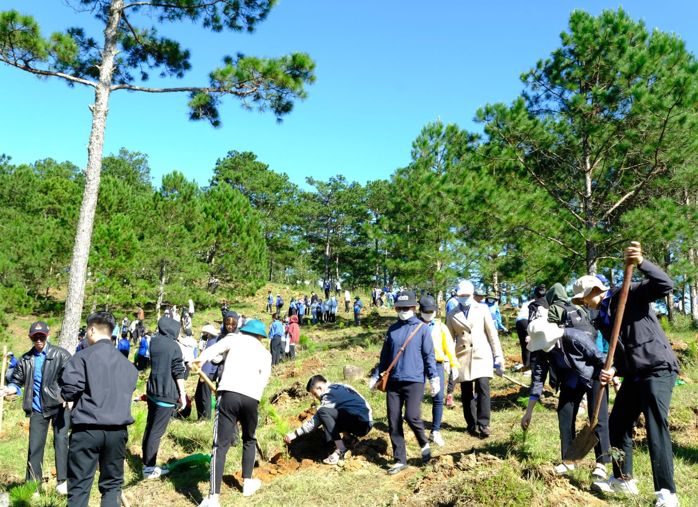 Các đại biểu tham gia trồng cây