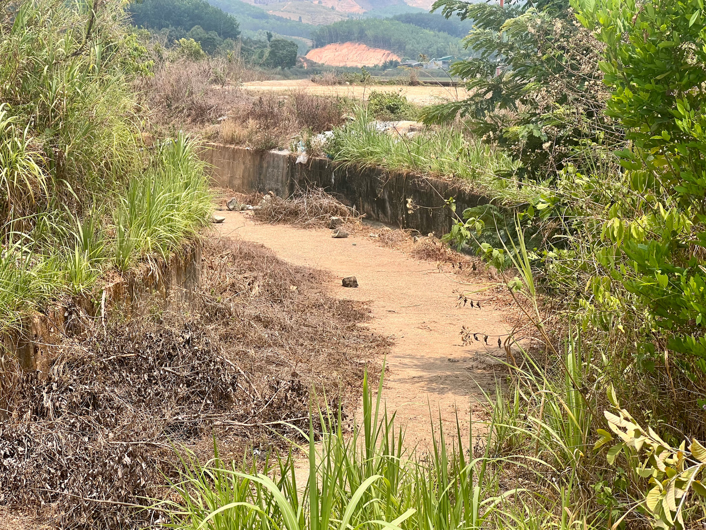 Một kênh dẫn nước từ hồ thuỷ lợi xã Sa Bình đã cạn kiệt nước từ lâu