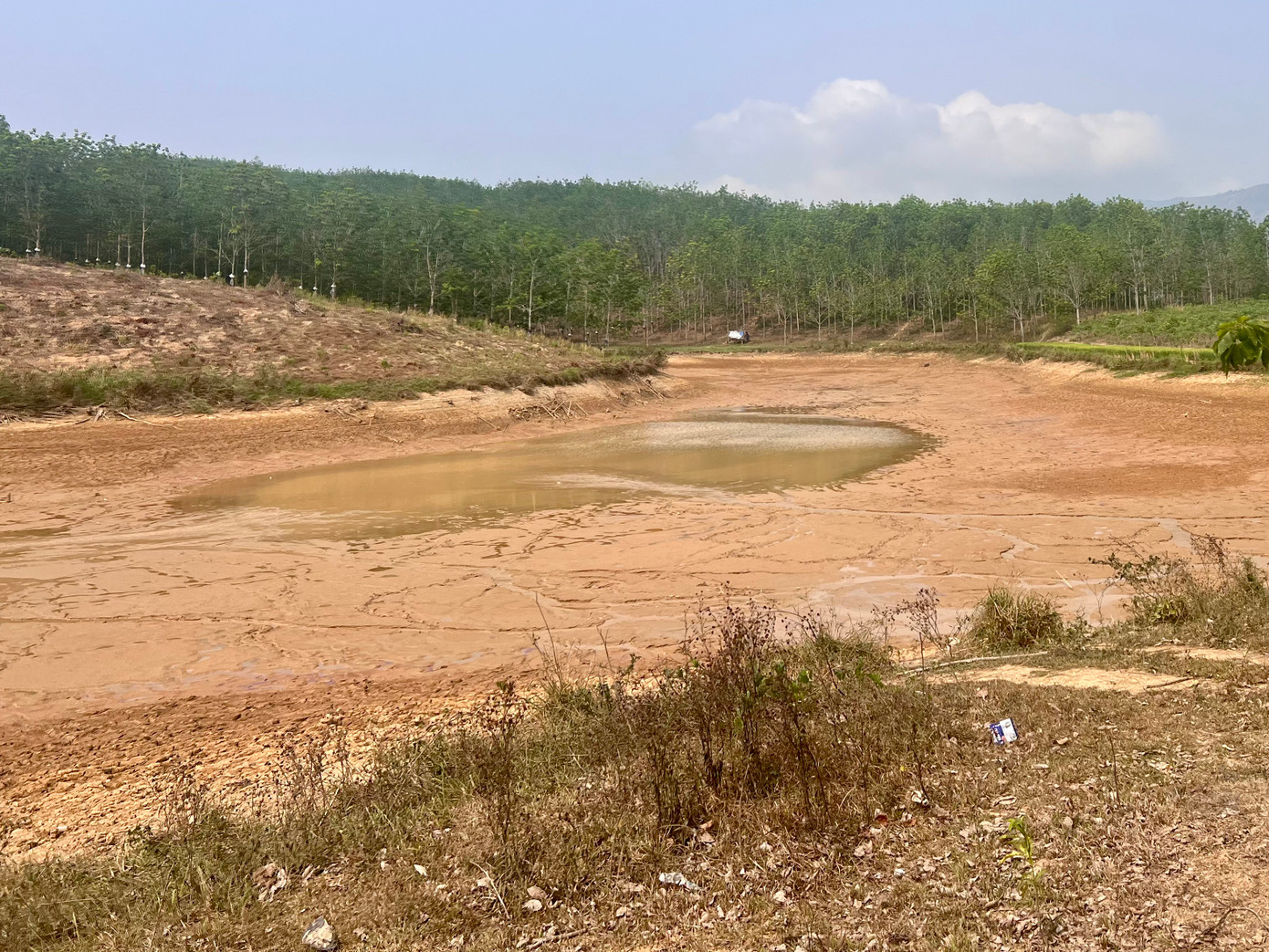 Theo ông Nguyễn Tiến - hộ dân trồng cà phê lâu năm tại xã Sa Bình, chưa có năm nào như thời tiết năm nay. Nắng nóng kéo dài khiến ai nấy đứng ngồi không yên.