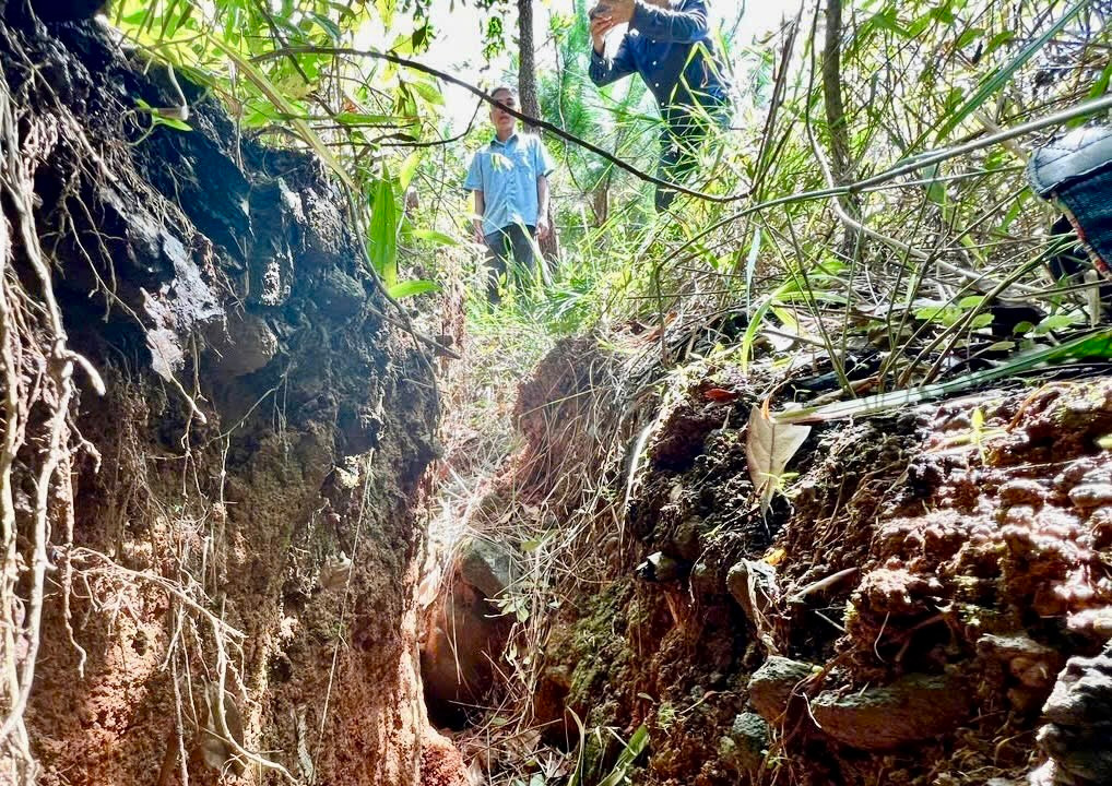 Ngày 10/10, ông Phan Quang Thạnh - Chủ tịch UBND xã Hiệp Thạnh cho hay, vết nứt ở đồi thông tại thôn Quảng Hiệp dài khoảng 80m, uy hiếp an toàn của hàng chục hộ dân bên dưới quả đồi.